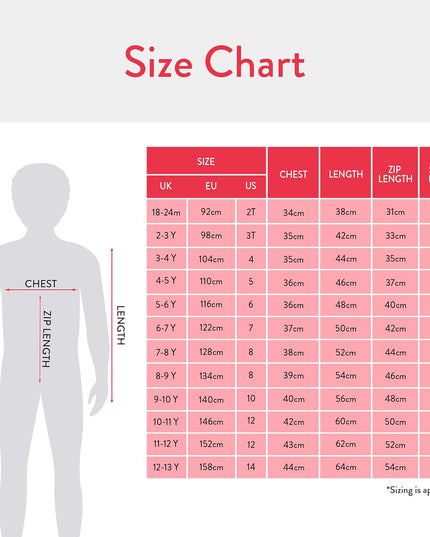 Boys Hoodie | Race Car Boys Zip up Hoodie | Cotton Kids Hoodies | Ages 3 to 13 Years